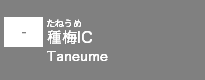 (-)種梅IC